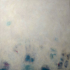 Trace d'oiseau